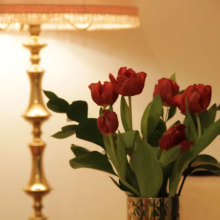 Ingrami And Πανσιόν