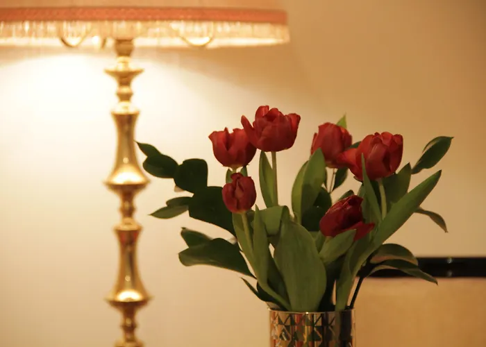 Ingrami And Πανσιόν