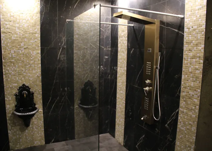 Ingrami And Πανσιόν